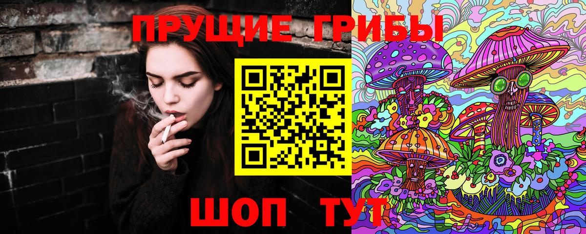 Галлюциногенные грибы мухоморы  Вход с VPN  Галлюциногенные грибы Psilocybine cubensis  Осинники 