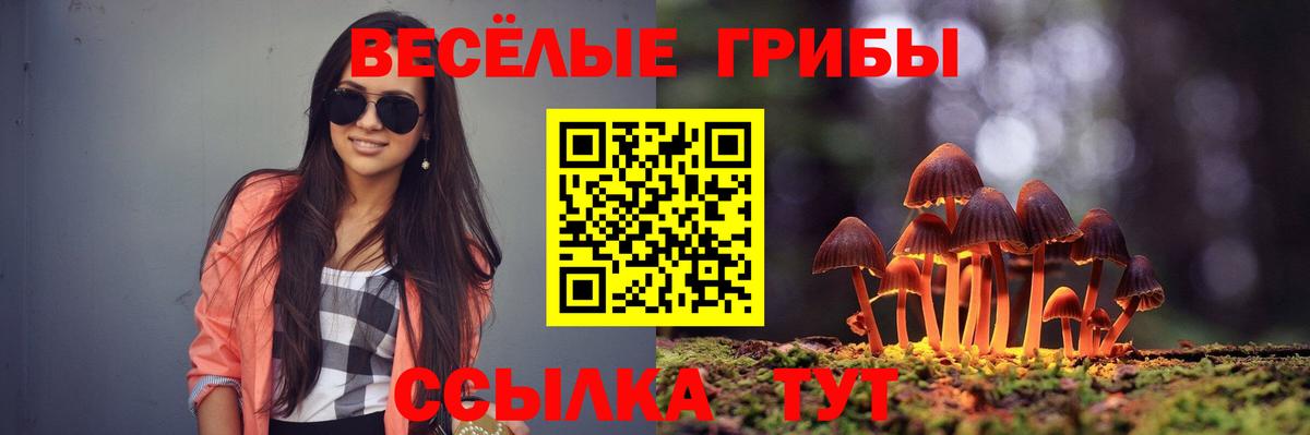 Галлюциногенные грибы Magic Shrooms Осинники