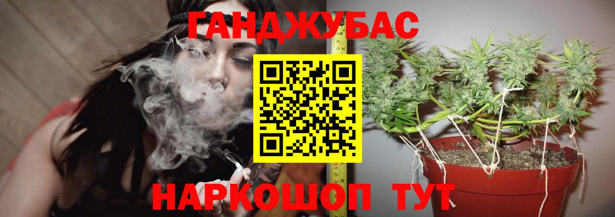 Конопля сатива Осинники